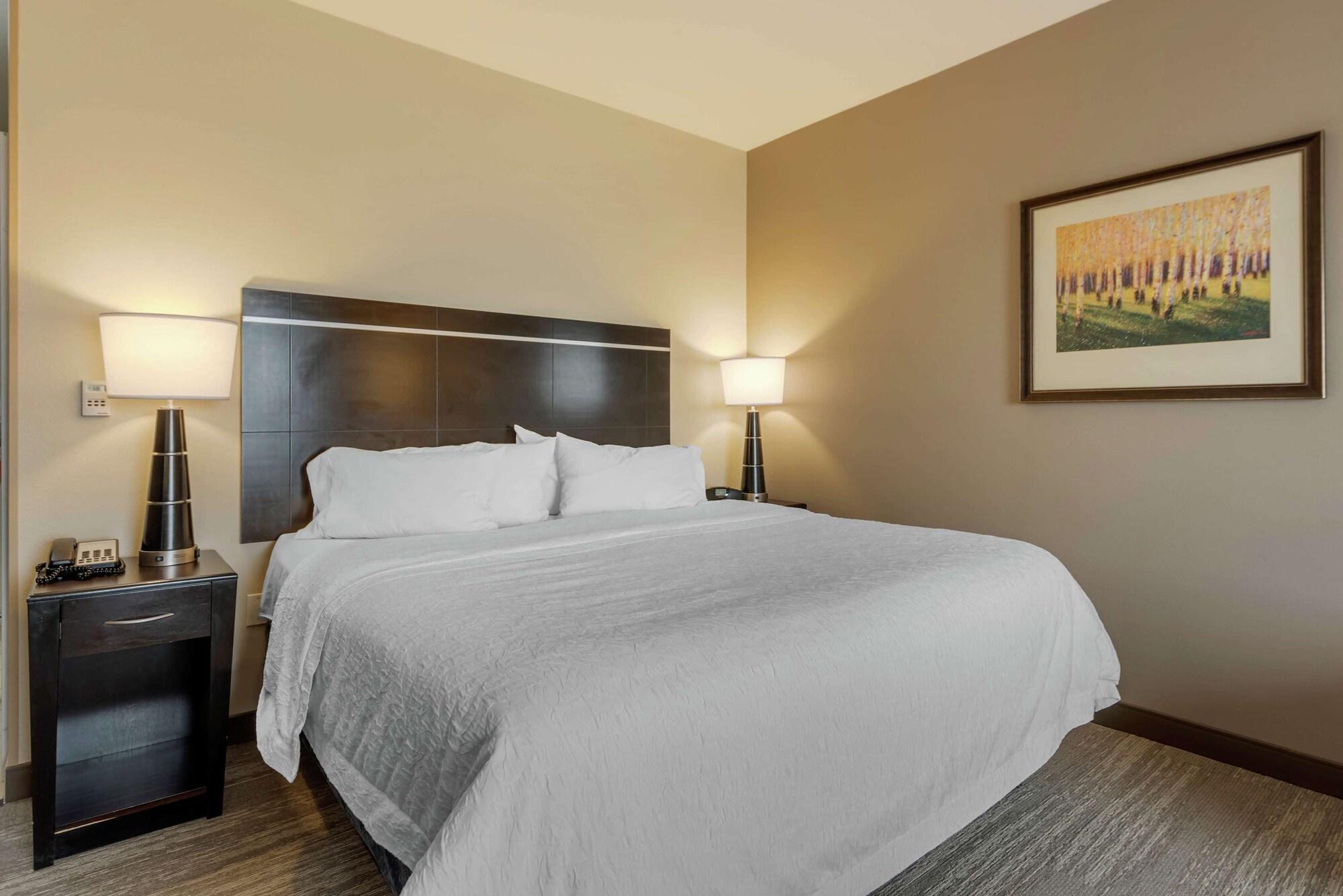 Hampton Inn Alamosa Kültér fotó